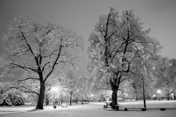 Vintern city park i kväll. — Stockfoto