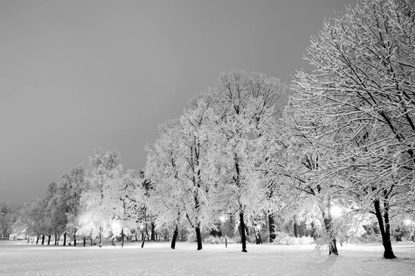 Kış city park akşam.