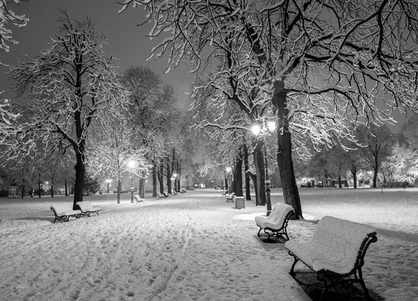 겨울 스노우 파크 — 스톡 사진