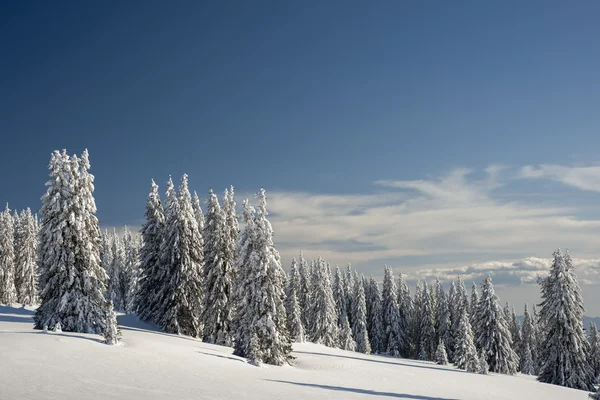 Invierno — Foto de Stock