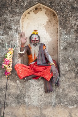 sadhu