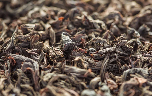 Hojas secas de té negro de cerca —  Fotos de Stock