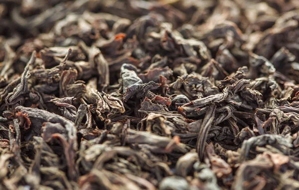 Dry Black Tea leaves close-up — Stock Photo, Image