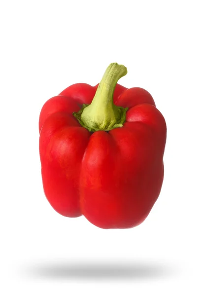 Red ripe juicy sweet Bulgarian pepper with shadow isolated on wh — Stock Photo, Image