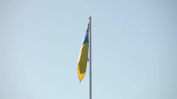 Bandeira ucraniana voa no vento contra um pano de fundo do céu azul — Vídeo de Stock