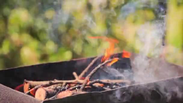 Brinnande ved utomhus för grillning och grill — Stockvideo