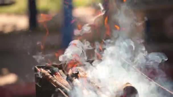 Branden van brandhout buitenshuis voor barbecues en grill — Stockvideo