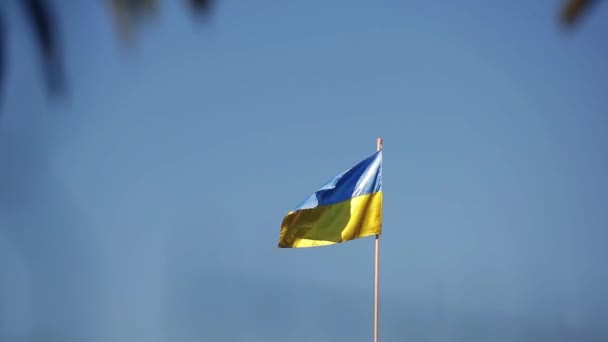 Bandera de Ucrania ondea en el viento contra un telón de fondo de cielo azul — Vídeo de stock