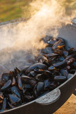 Midye doğası vardır