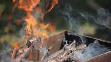 kiraz ahşap dallarında parlak kırmızı alevler yanan bir Barbekü ortasında yığılmış