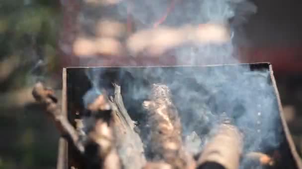 Rami di ciliegio impilati in un barbecue fiamme rosso vivo — Video Stock