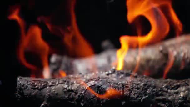 Branches of cherry wood stacked in a barbecue burning bright red flames — Stock Video