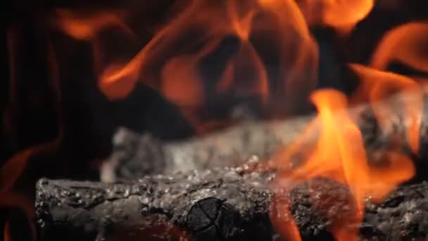 Branches of cherry wood stacked in a barbecue burning bright red flames — Stock Video