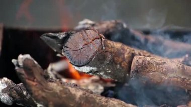 kiraz ahşap dallarında parlak kırmızı alevler yanan bir Barbekü ortasında yığılmış