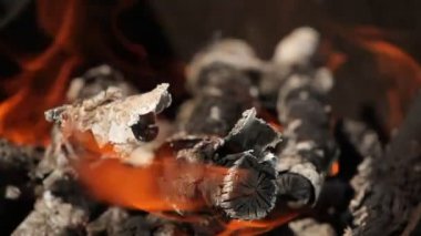 parlak kırmızı alevler dalları, yakın çekim yazma