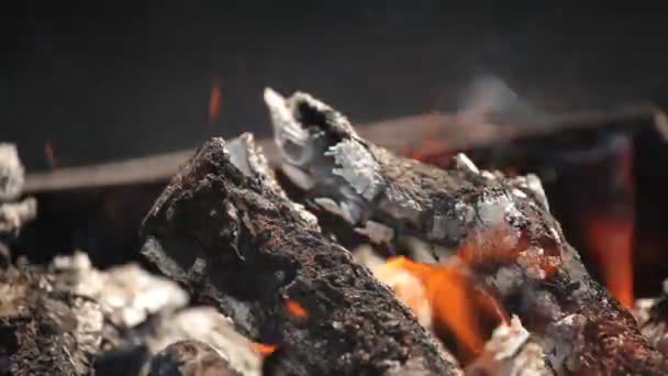 Ramas de madera de cerezo apiladas en una barbacoa ardiendo llamas de color rojo brillante — Vídeos de Stock