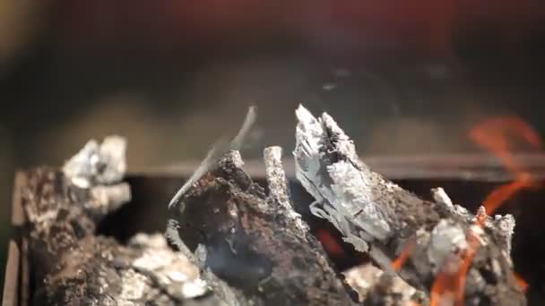 Branches de cerisier empilées dans un barbecue flammes rouge vif — Video