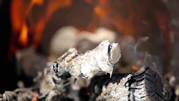 Fiamme rosso vivo che bruciano rami, primo piano — Video Stock