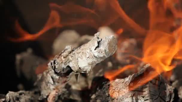 Bright red flames burning branches, close-up — Stock Video