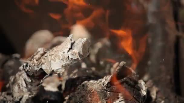 Bright red flames burning branches, close-up — Stock Video