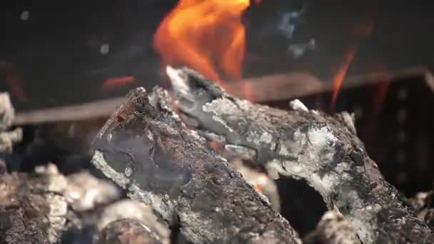 Llamas de color rojo brillante ramas ardientes, primer plano — Vídeo de stock