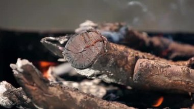 parlak kırmızı alevler dalları, yakın çekim yazma