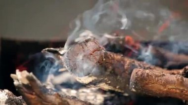 parlak kırmızı alevler dalları, yakın çekim yazma