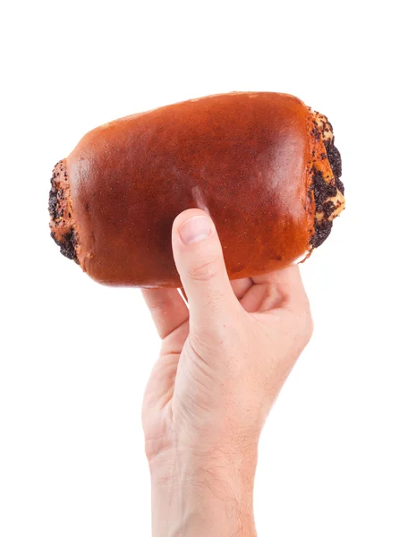 Hand hält ein Brötchen isoliert auf weißem Hintergrund Stockbild