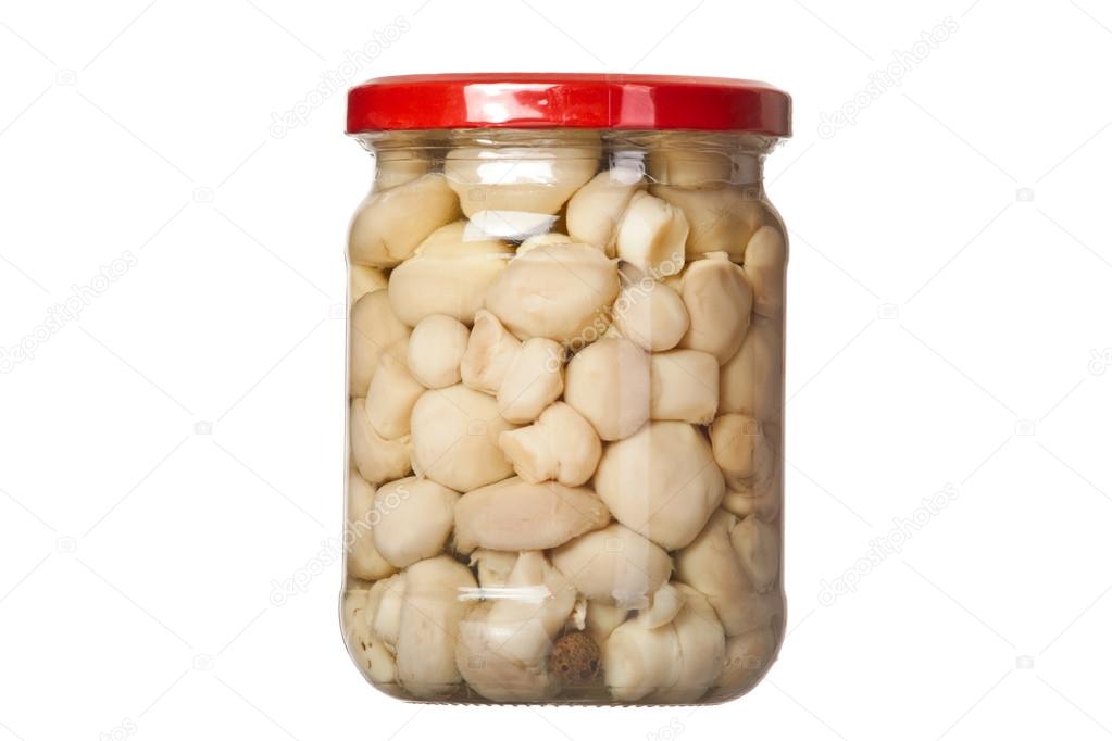 Bank of canned white mushrooms isolated on white background