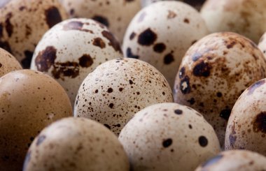 çiğ Bıldırcın yumurta closeup plastik ambalaj