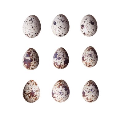 Beyaz arka plan üzerinde izole çiğ bıldırcın yumurtası