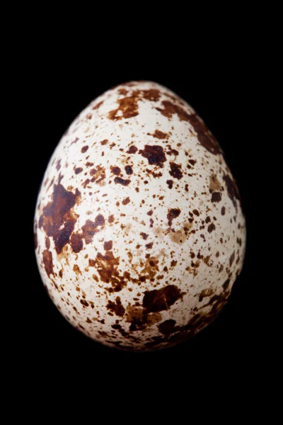 Surowym jajkiem przepiórczym na białym tle na czarnym tle — Zdjęcie stockowe