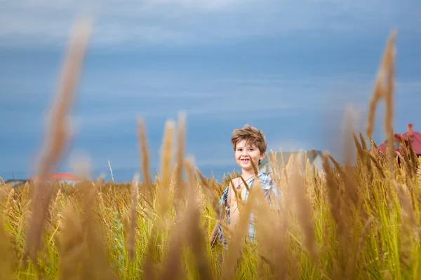 Schöner kleiner Junge, der im Sommer Spaß beim Spielen auf der Wiese hat — Stockfoto