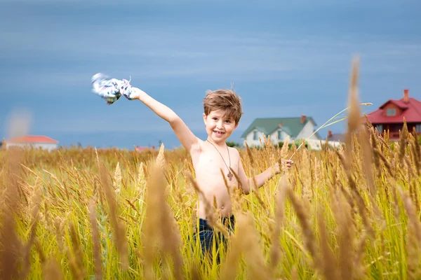 Menino bonito se divertindo jogando no prado no verão wi — Fotografia de Stock