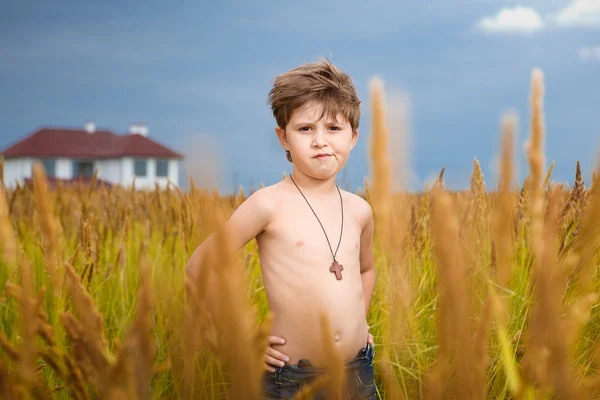 Knappe jongen plezier spelen op de weide in de zomer wi — Stockfoto