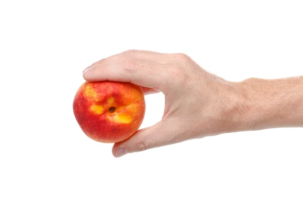Färska saftig välsmakande rött och gult persika i en mänsklig hand isolerade — Stockfoto