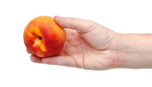 Fresh juicy tasty red and yellow peach in a human hand isolated — Stock Photo, Image