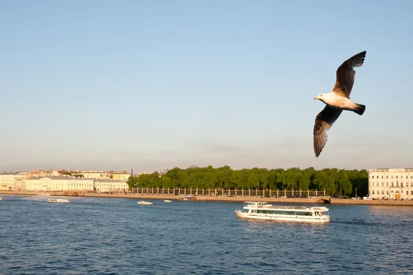 Вид на набережную Санкт-Петербурга в летний день — стоковое фото