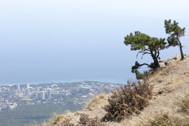 Kırım'güney kıyılarının güzel manzara 