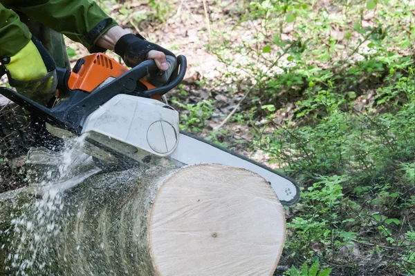 Günlük kesme testere