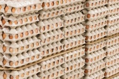 önce Dükkanı topraklarında yumurtalı ambalajlar