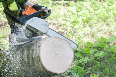 Günlük kesme testere