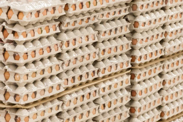 önce Dükkanı topraklarında yumurtalı ambalajlar