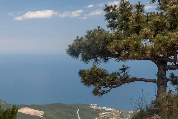 Όμορφη θέα τη νότια ακτή της Κριμαίας — Φωτογραφία Αρχείου