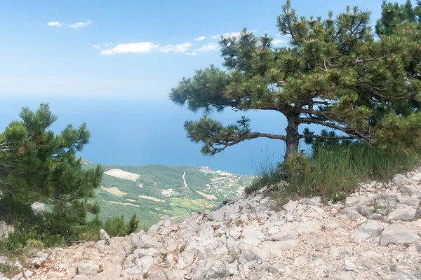 Όμορφη θέα τη νότια ακτή της Κριμαίας — Φωτογραφία Αρχείου