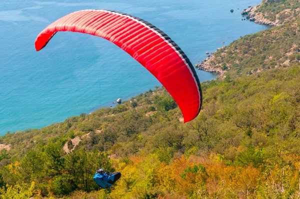 Man Flies Paraglider Mountain Greenery Blue Sea Clear Summer Day — Stock Photo, Image