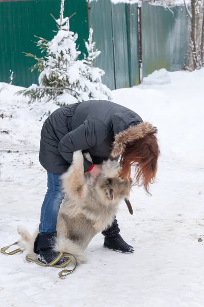 La ragazza con un cane — Foto Stock