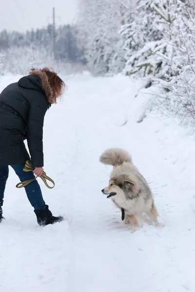 La ragazza con un cane — Foto Stock