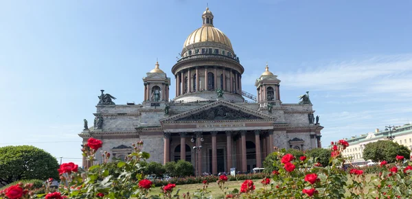 Röda rosor mot Isaakiyevskogosobor i St Petersburg i sommardag — Stockfoto