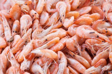 bir masada karides avuç haşlanmış